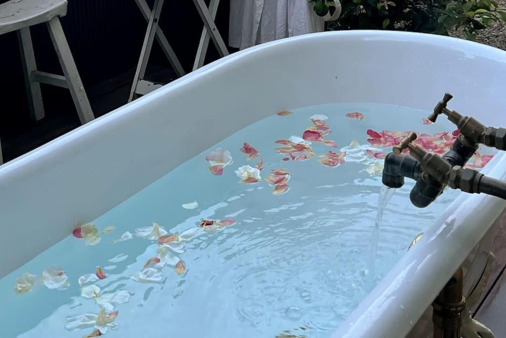 Gardeners' Cottage Matangi エクステリア 写真